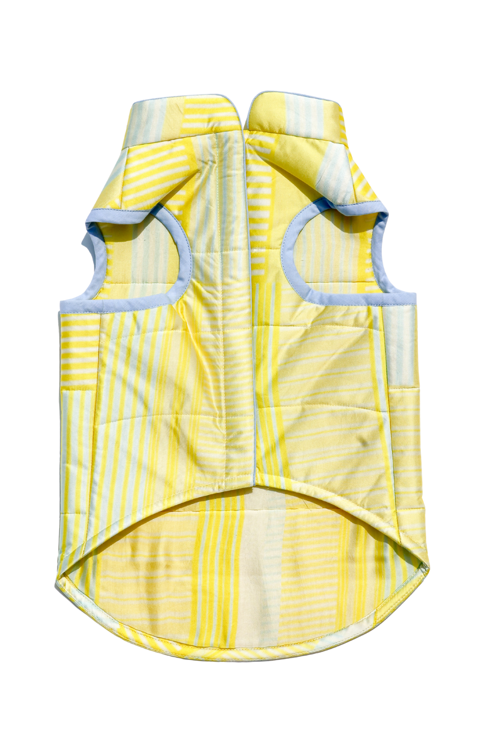 striped puffer
