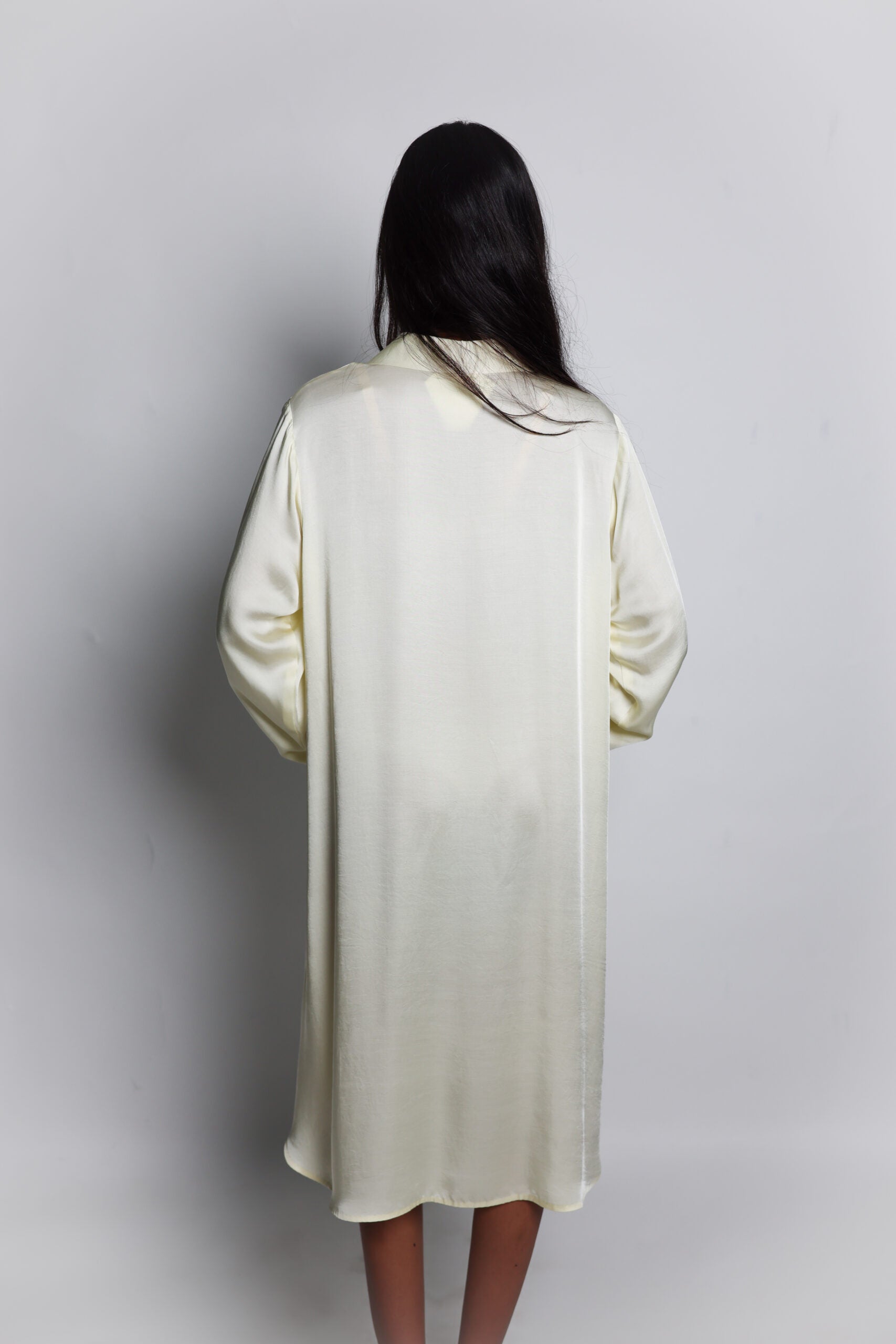 boardroom shirtdress