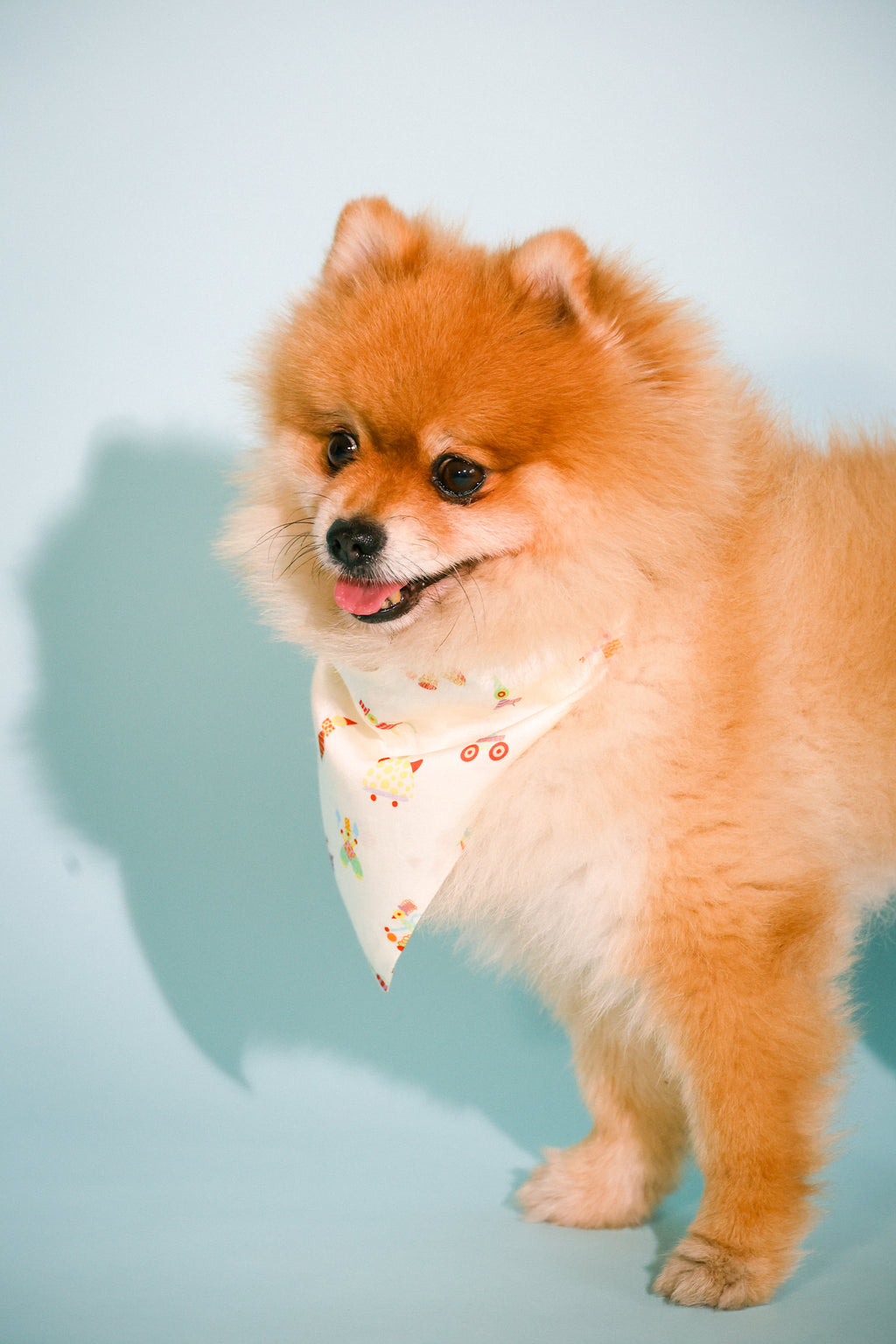 boardroom bandana