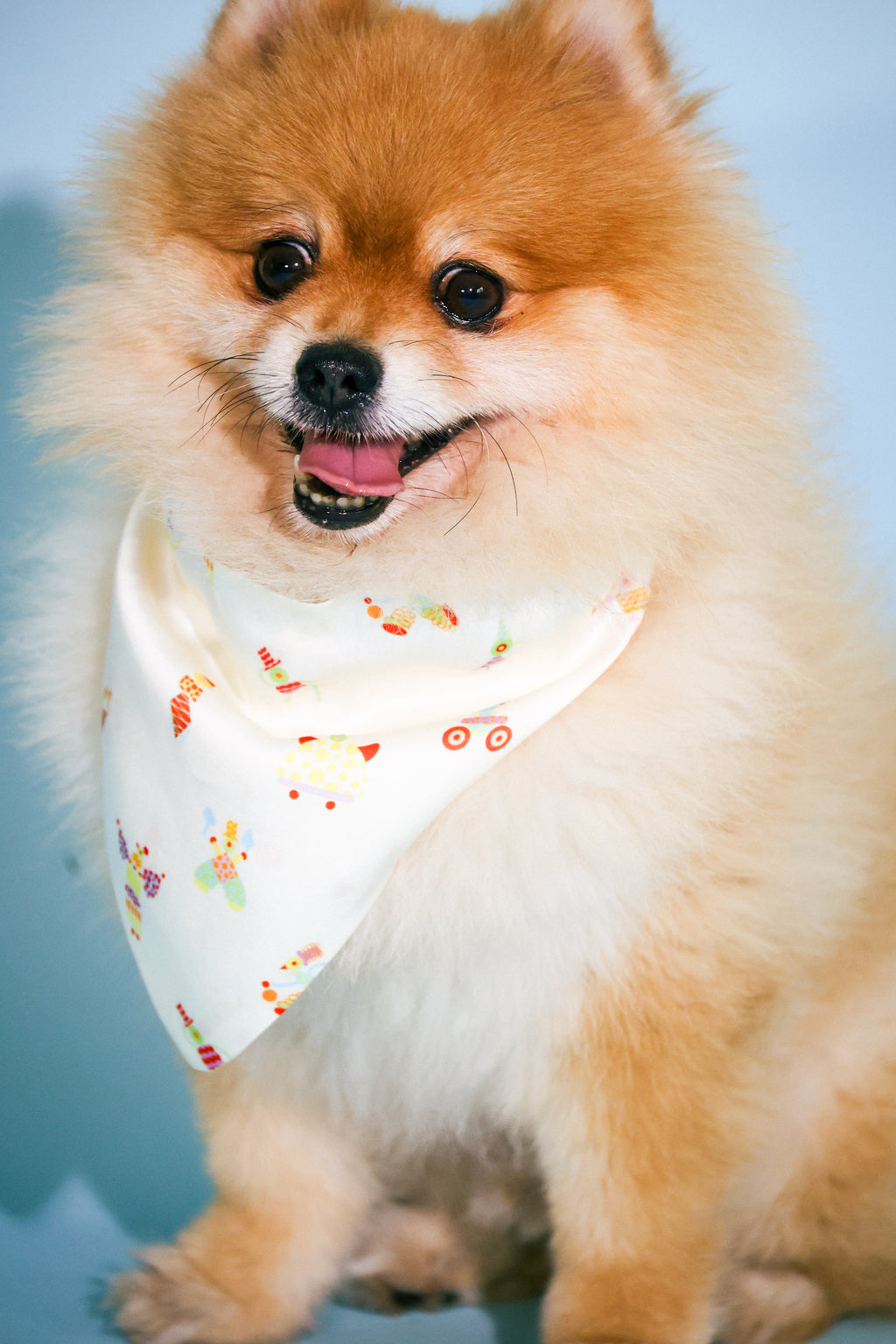 boardroom bandana