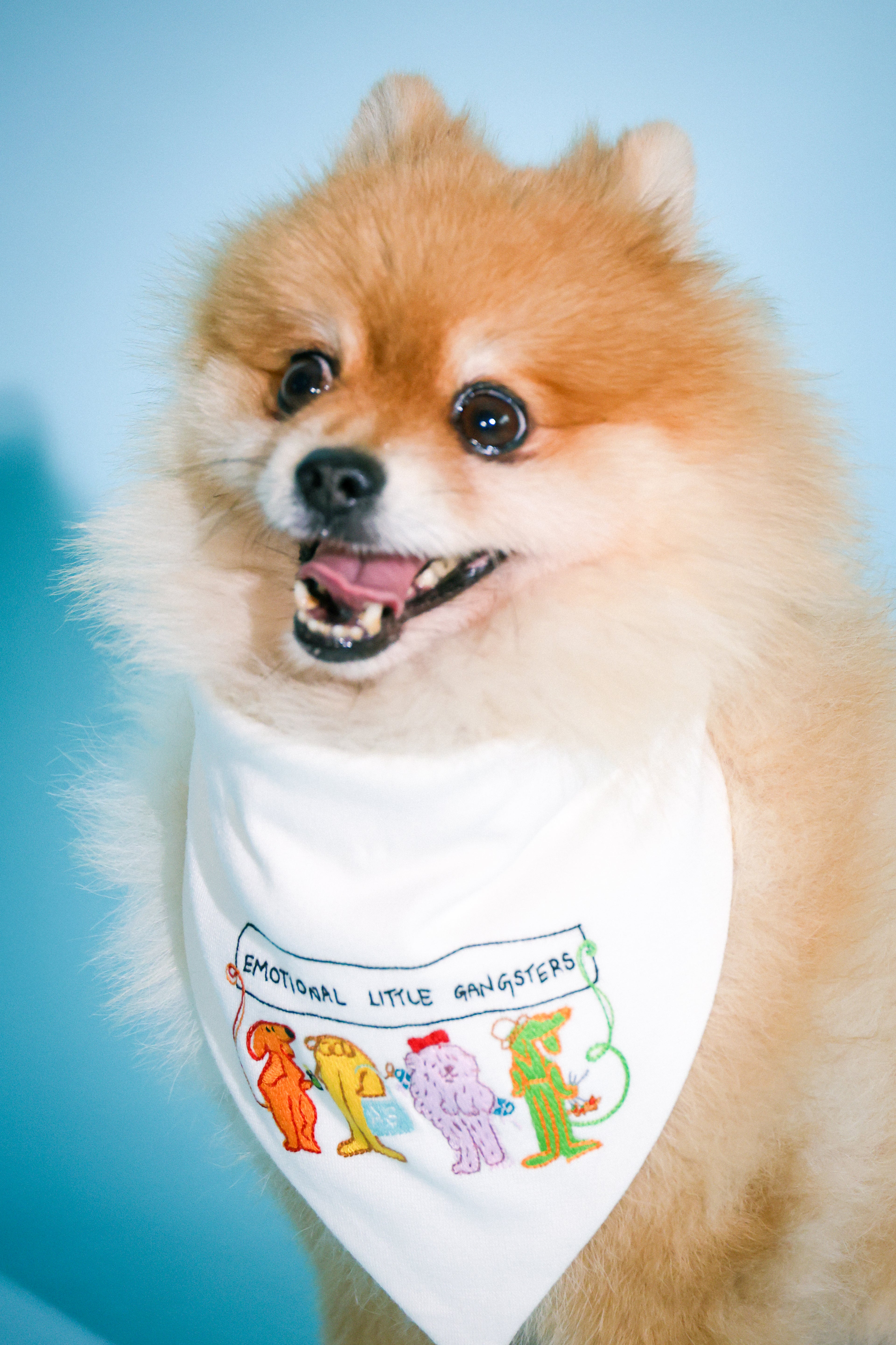 emotional little gangsters bandana