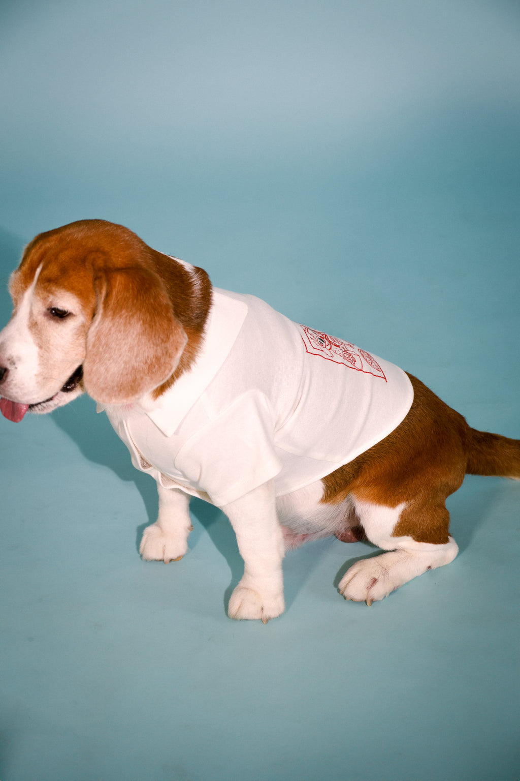 casanova carl tee