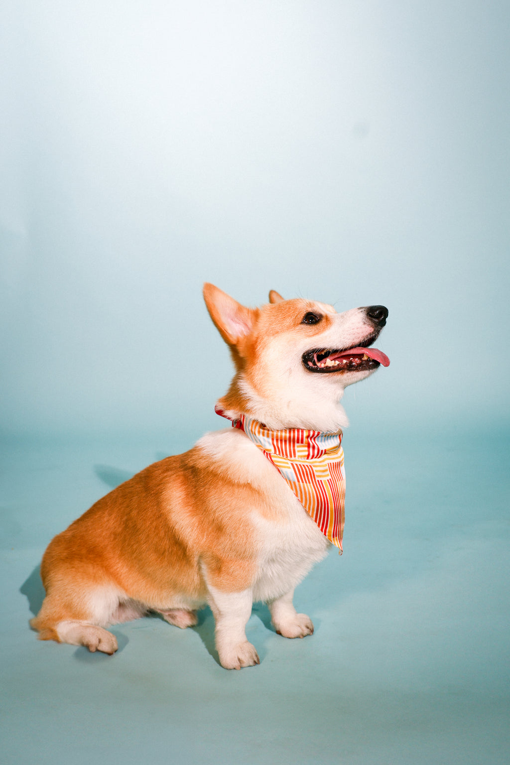 red stripes bandana