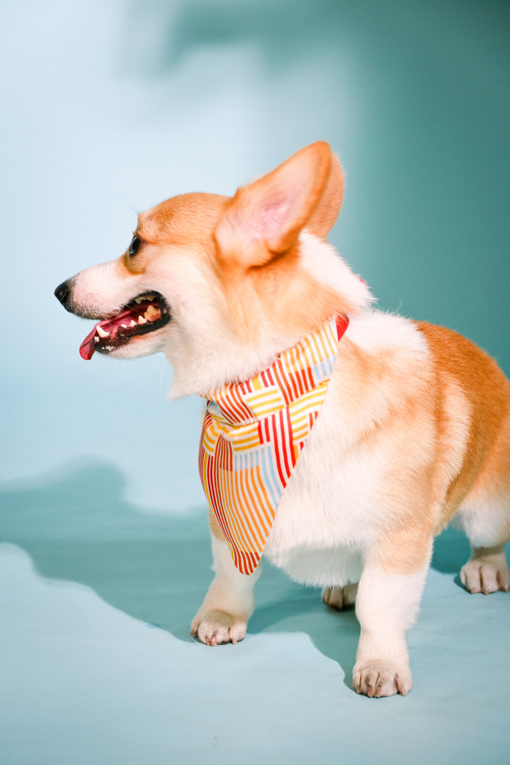 red stripes bandana
