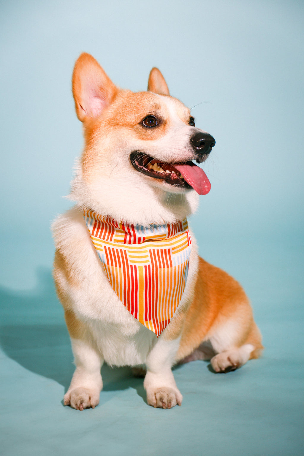 red stripes bandana
