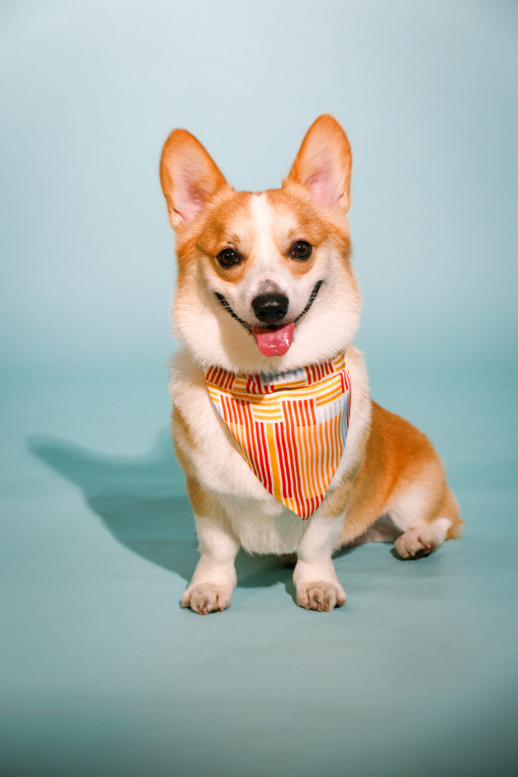 red stripes bandana