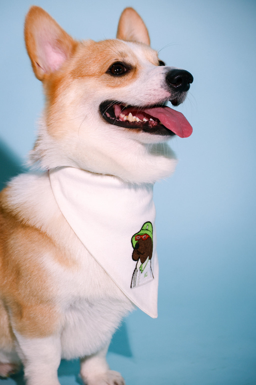 watch dog bandana