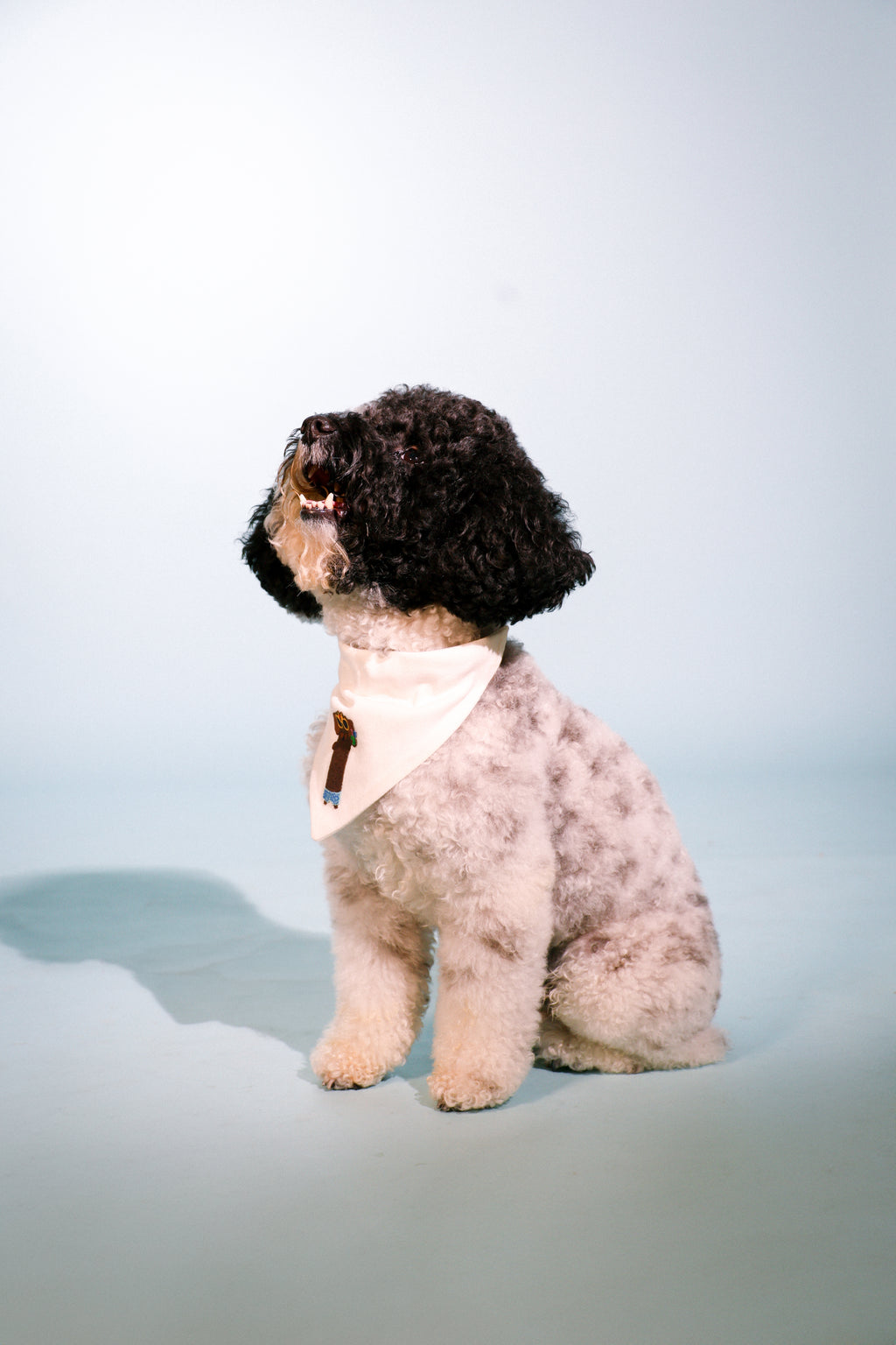 beach bandana