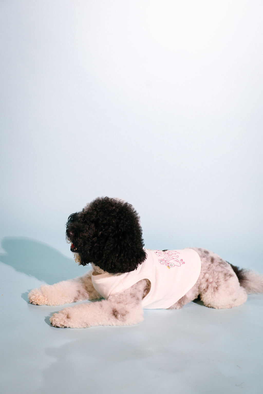 whisk & wiggle tee