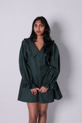 peterpan dress-green