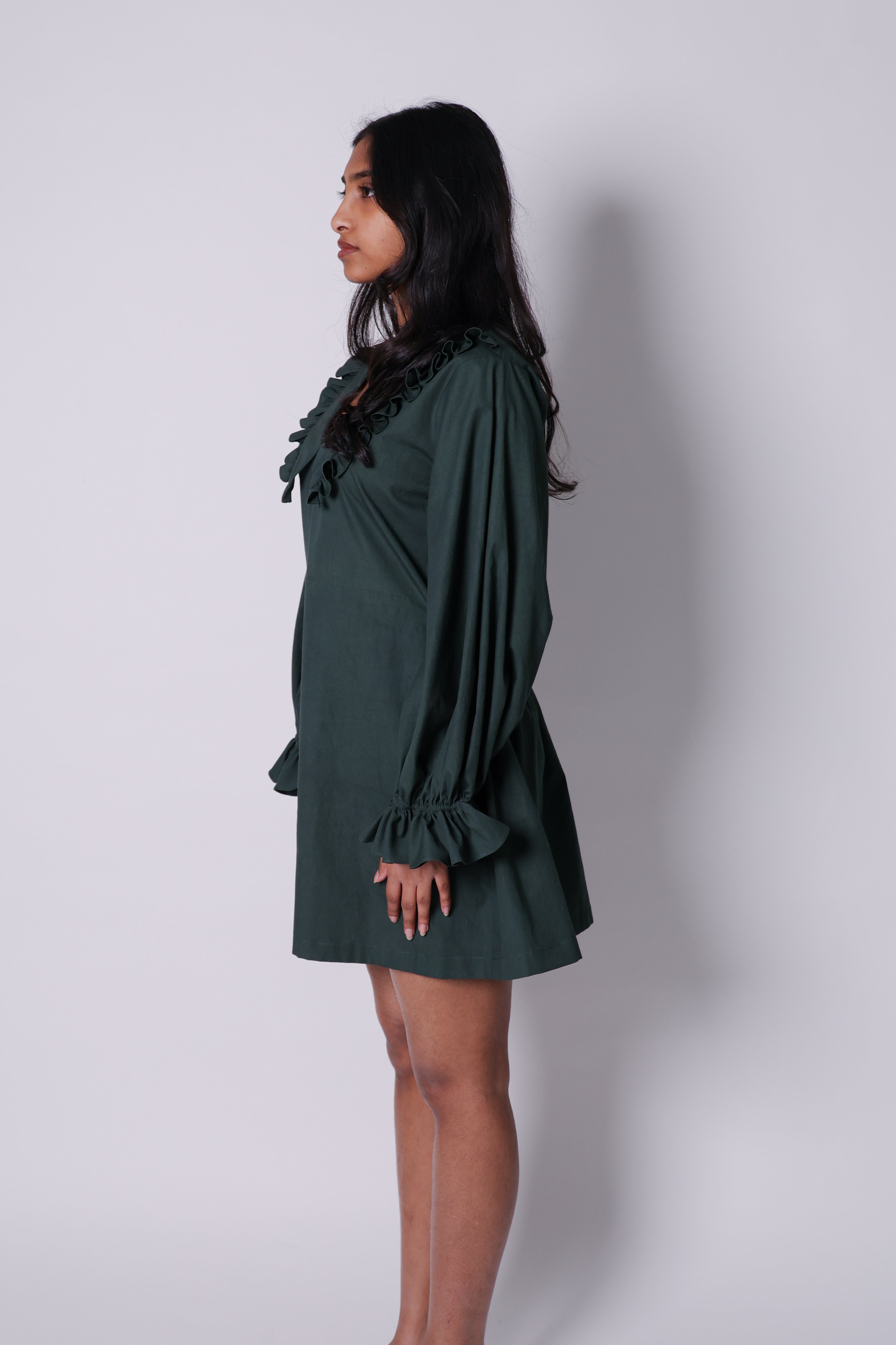 peterpan dress-green