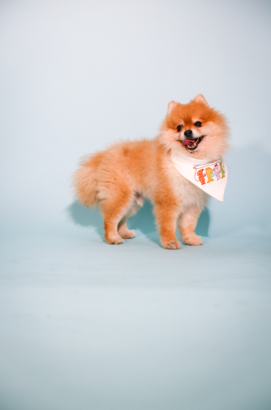 emotional little gangsters bandana