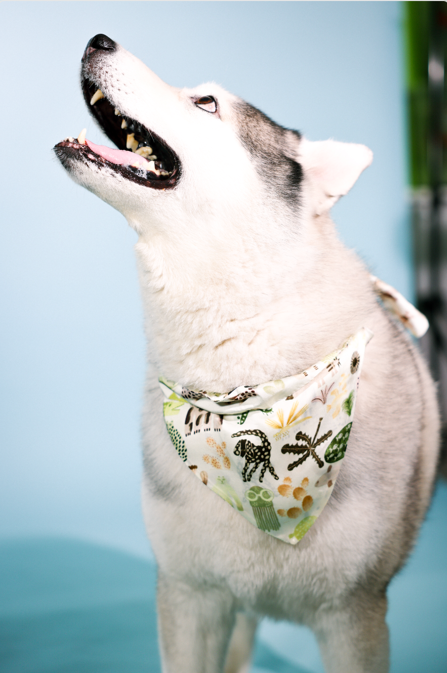 mural bandana