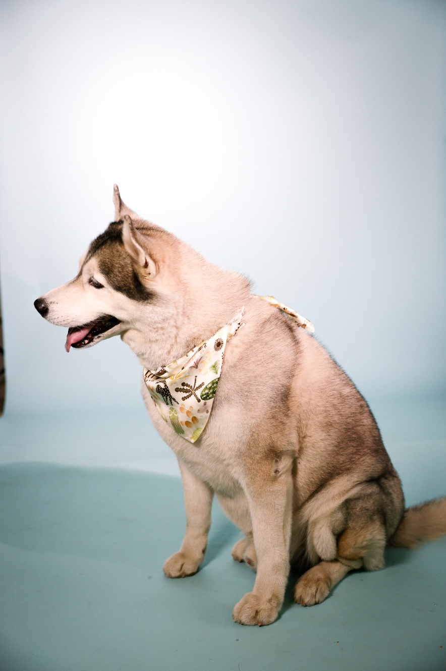 mural bandana