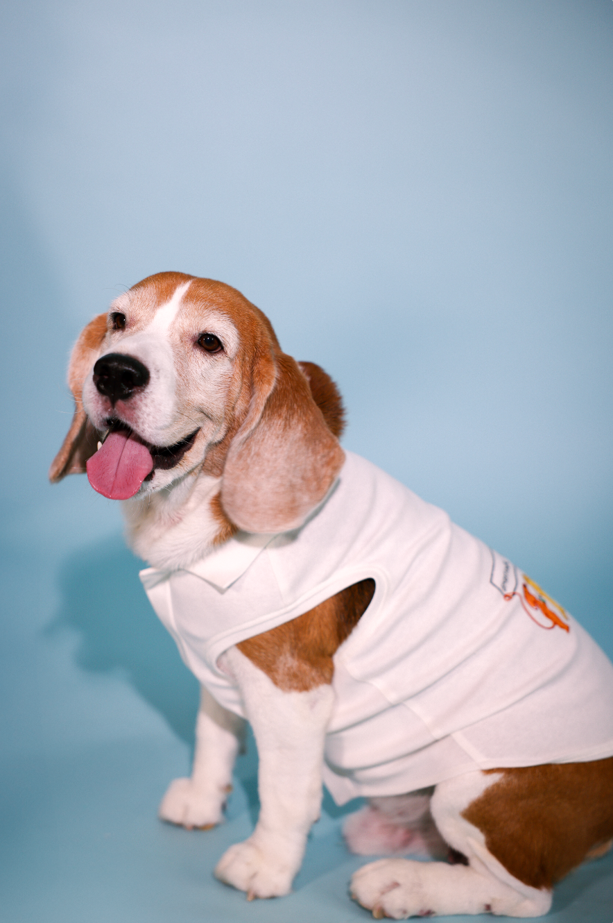 emotional little gangsters tee