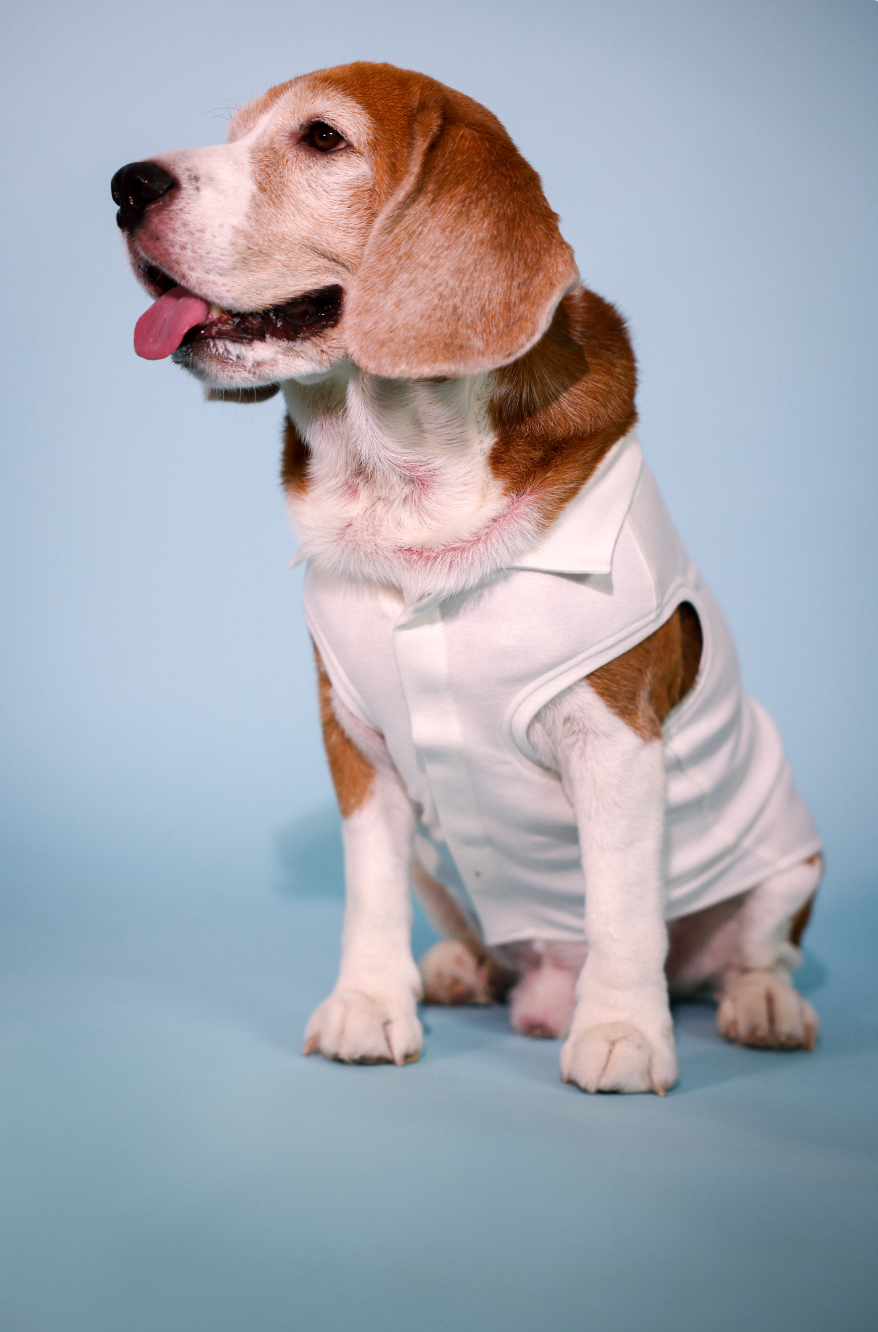 emotional little gangsters tee